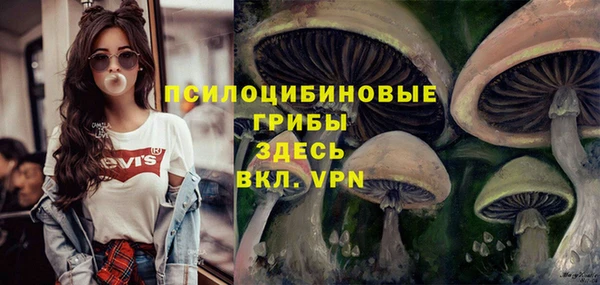 прущая мука Балахна