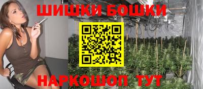 шишки Заводоуковск