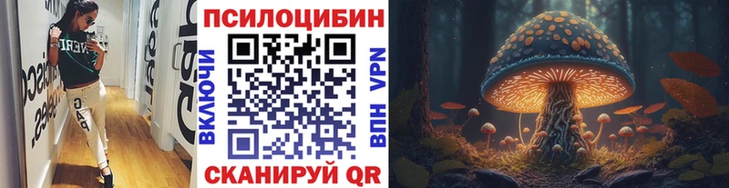 где можно купить наркотик Нарткала мориарти официальный сайт Псилоцибиновые грибы GOLDEN TEACHER
